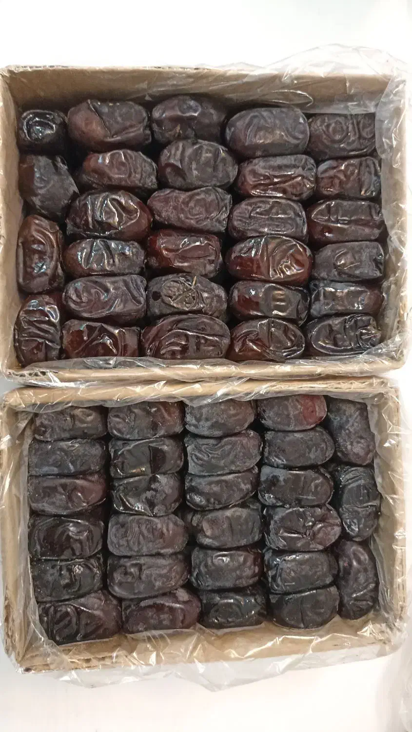خرما|خوردنی و آشامیدنی|قم, کیوانفر|دیوار