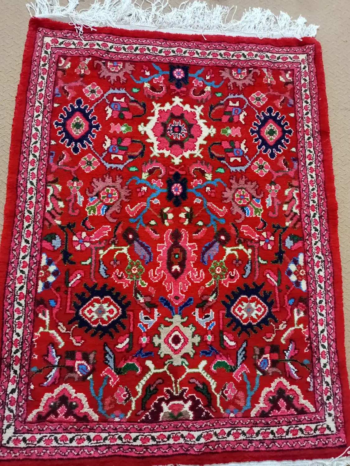 قالی زرونیم|فرش|ملایر, |دیوار