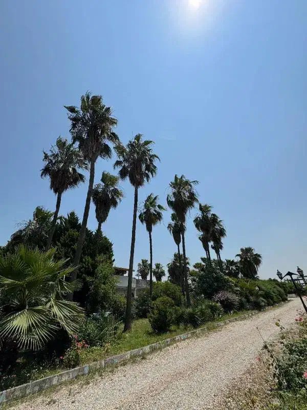 فروش زمین مسکونی شهرکی 600 متر در ماه فروز محله|فروش زمین و ملک کلنگی|آکند, |دیوار