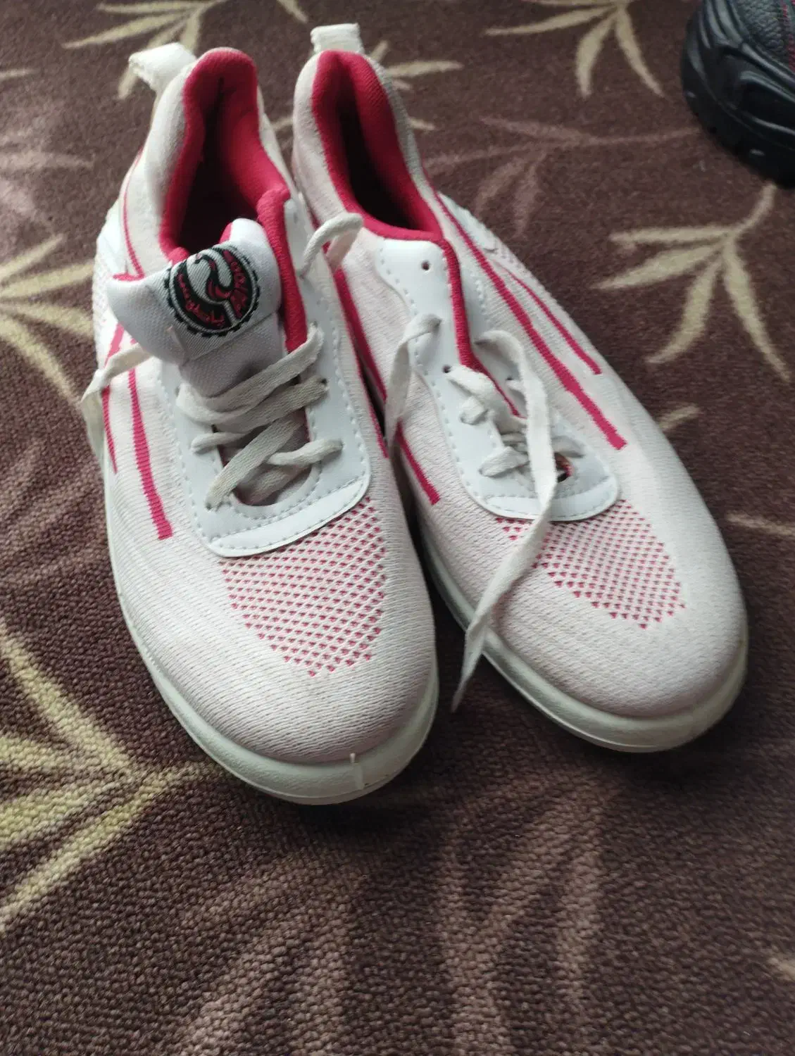 کفش ایمنی نو نوهستش|کیف، کفش، کمربند|مشهد, موعود|دیوار