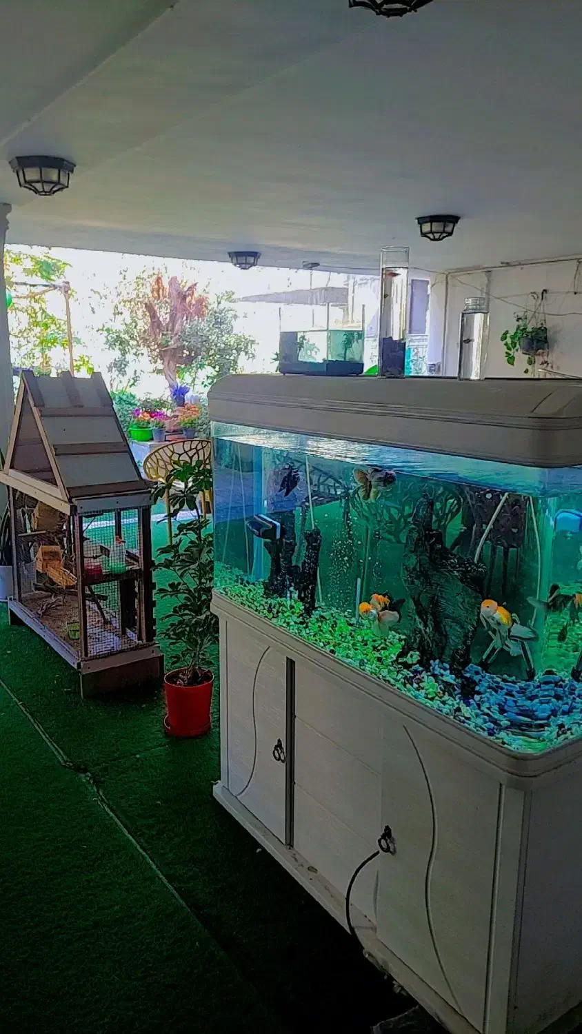 اقامتگاهی دنج با طراحی خلیجی|اجارهٔ کوتاه‌مدت ویلا و باغ|بوشهر, |دیوار