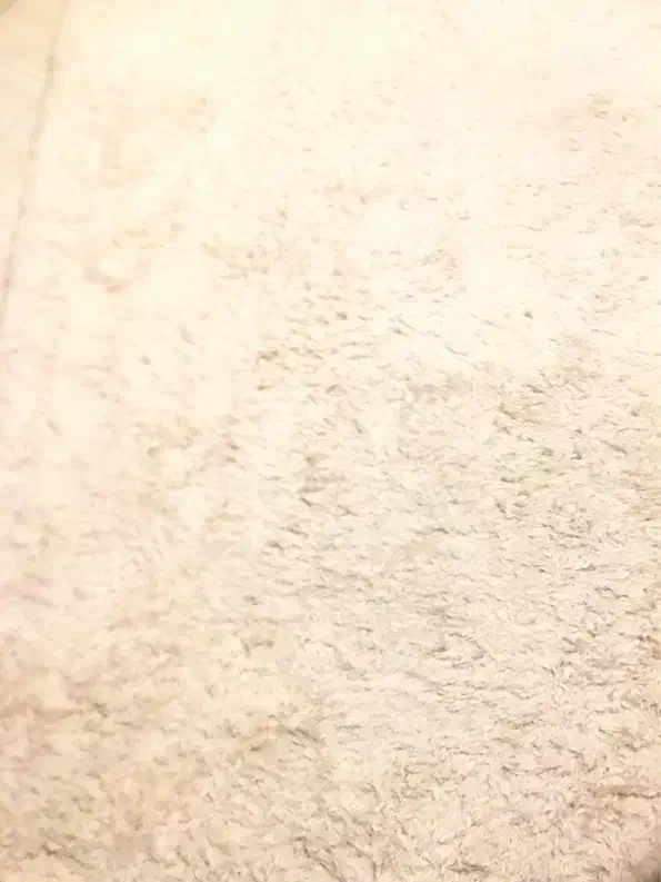 فرش شگی|فرش|تهران, سازمان آب|دیوار