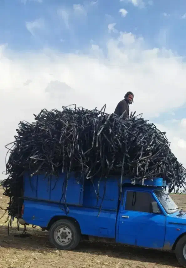 نوارتیپ.لوله پلی اتیلن(فقط خرید)|عمده‌فروشی|قم, جمکران|دیوار