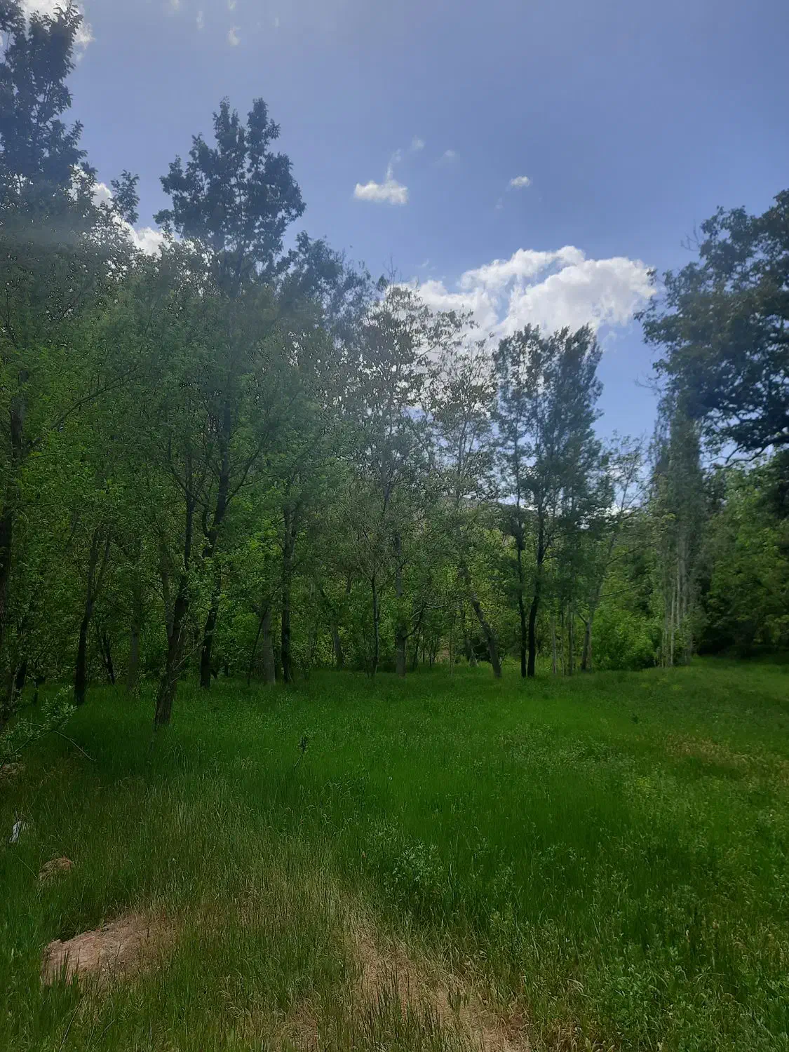 راهنمایی اوقات فراغت|فعالیت داوطلبانه|نیشابور, میدون بار|دیوار