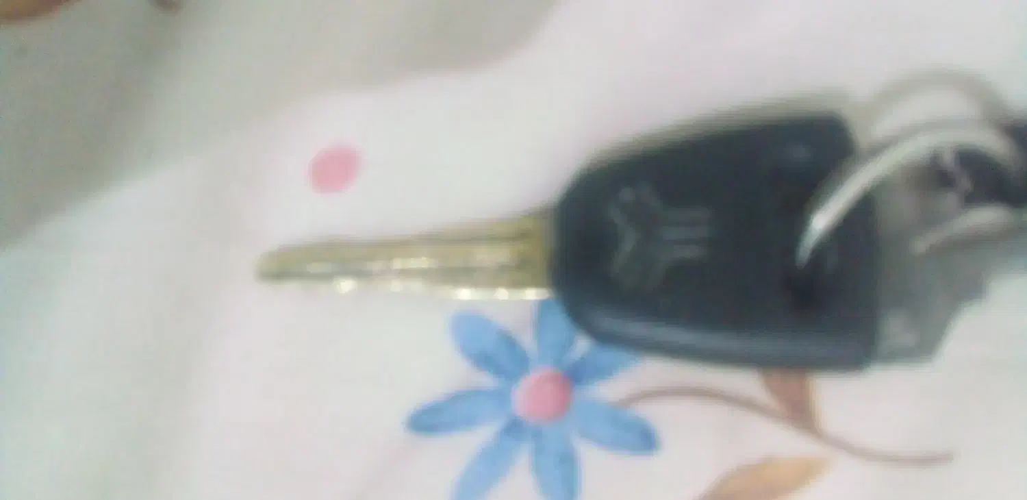 ریموت دزدگیر جک پیداشده|اشیا|کاشان, درب یلان|دیوار