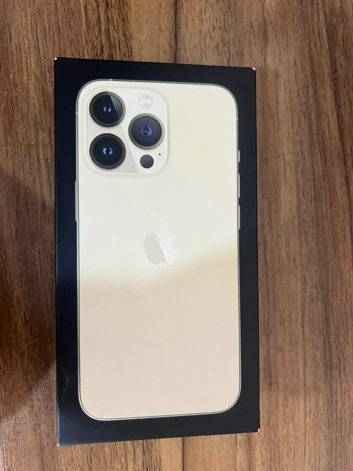 ایفون 13pro gold|موبایل|میناب, |دیوار