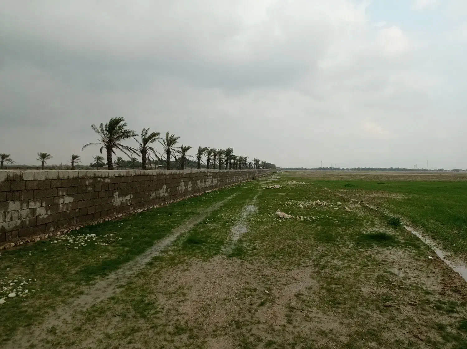 زمین صنعتی کشاورزی در بوشهر احمدی|فروش دفتر صنعتی، کشاورزی، تجاری|چغادک, |دیوار