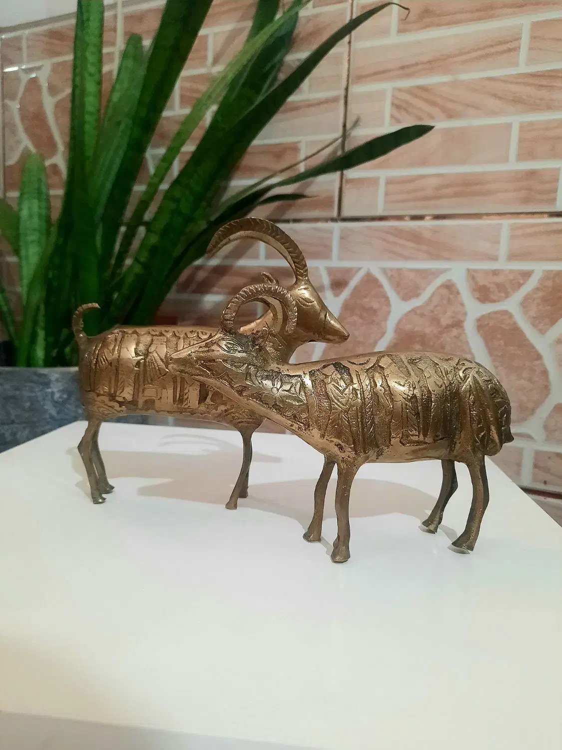 مجسمه تزیینی برنجی|صنایع دستی و سایر لوازم تزئینی|شیراز, منطقه هوایی شهید دوران|دیوار