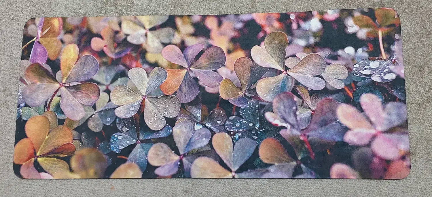 پادری|پادری|بروجرد, |دیوار