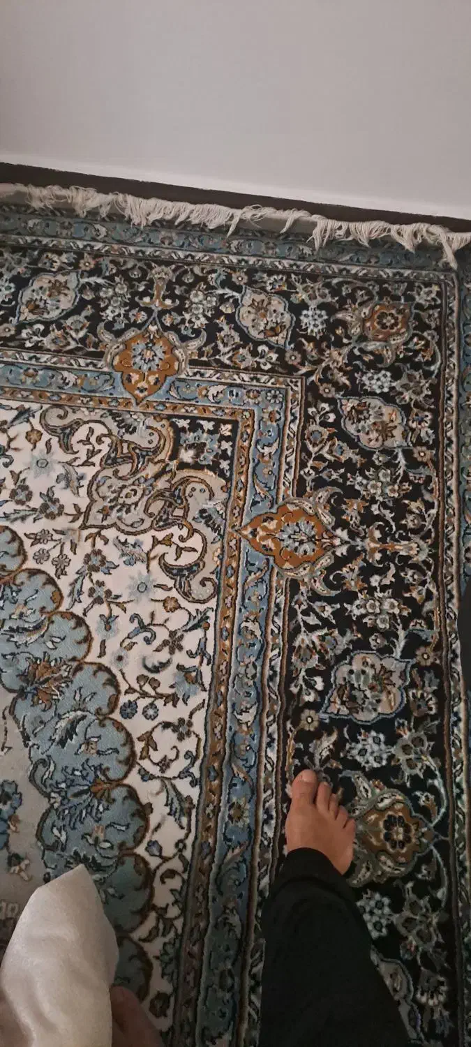 فروش فرش دست دو|فرش|نکا, |دیوار