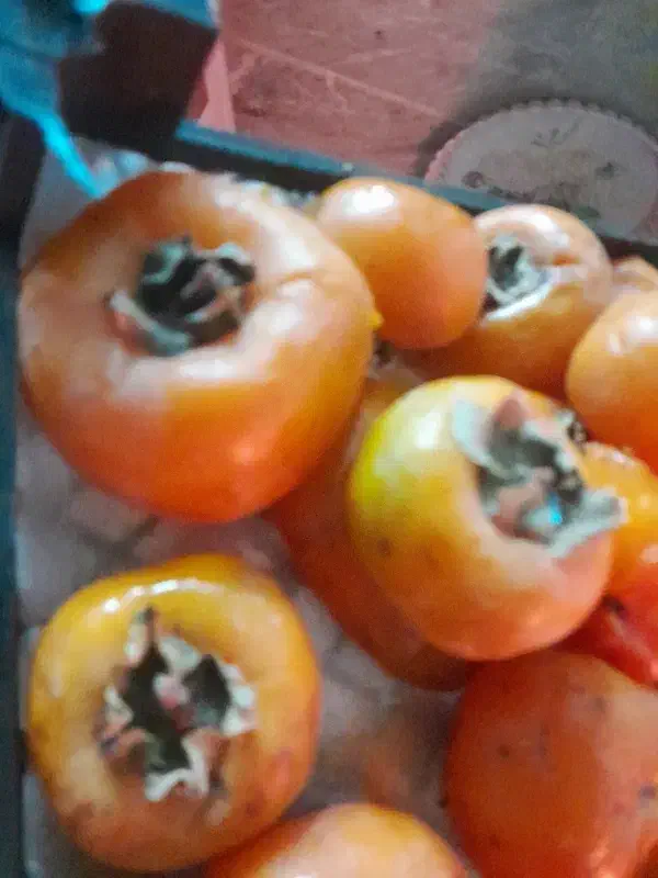 اسباب بازی|اسباب‌‌بازی|ساوه, |دیوار