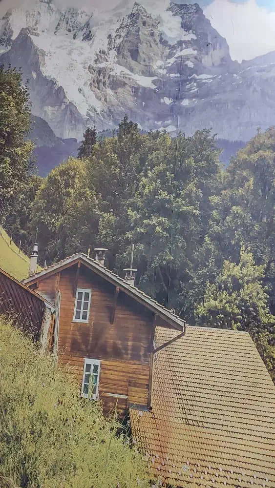 استخدام مشاور خانوم و اقا|استخدام اداری و مدیریت|شهریار, کرد امیر|دیوار