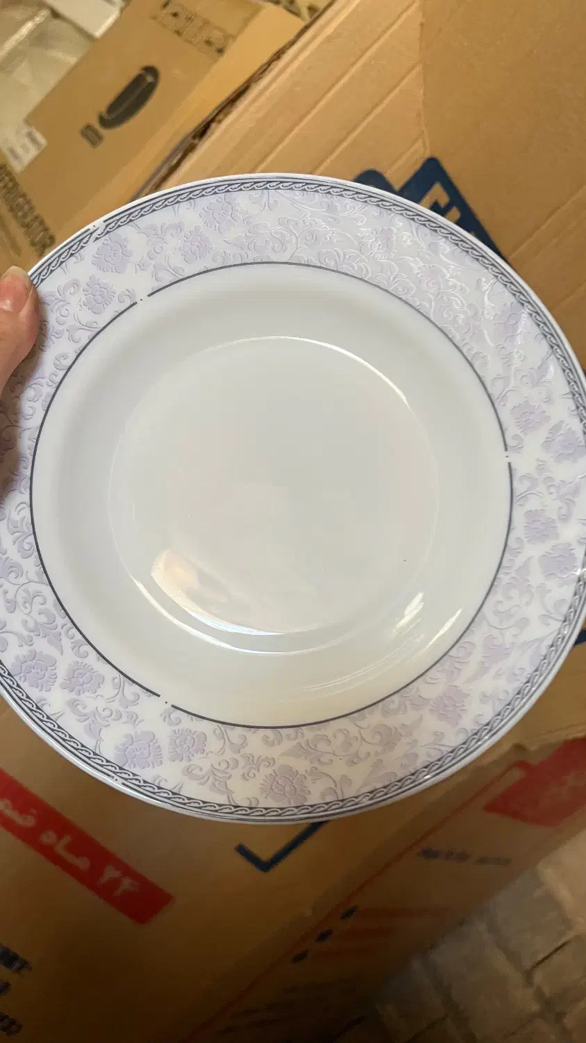 ارکوپال اصل فرانسه|ظروف سرو و پذیرایی|اصفهان, ارغوانیه|دیوار