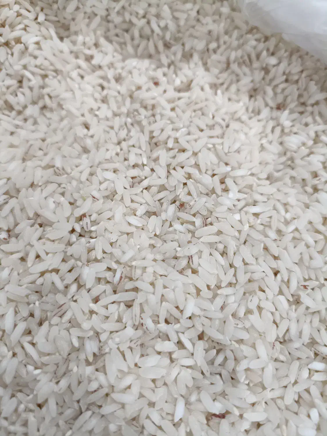برنج سوسن|خوردنی و آشامیدنی|ایذه, |دیوار