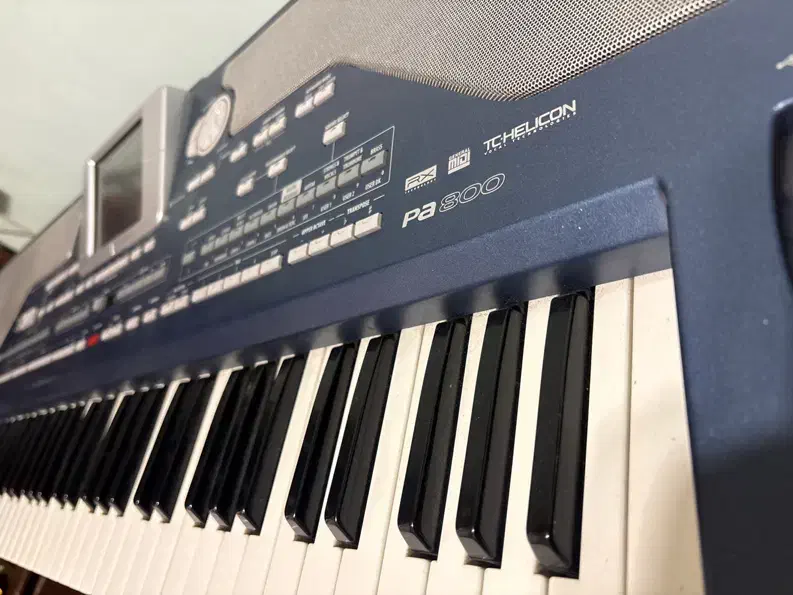 pa 800|پیانو، کیبورد، آکاردئون|باغ بهادران, |دیوار