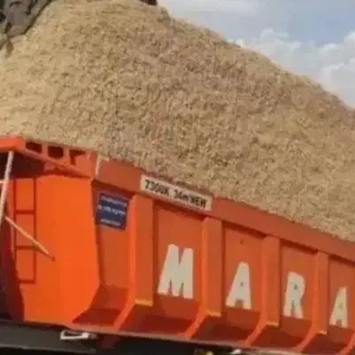 باگاس نیشکر|حیوانات مزرعه|مرودشت, تخت جمشید|دیوار