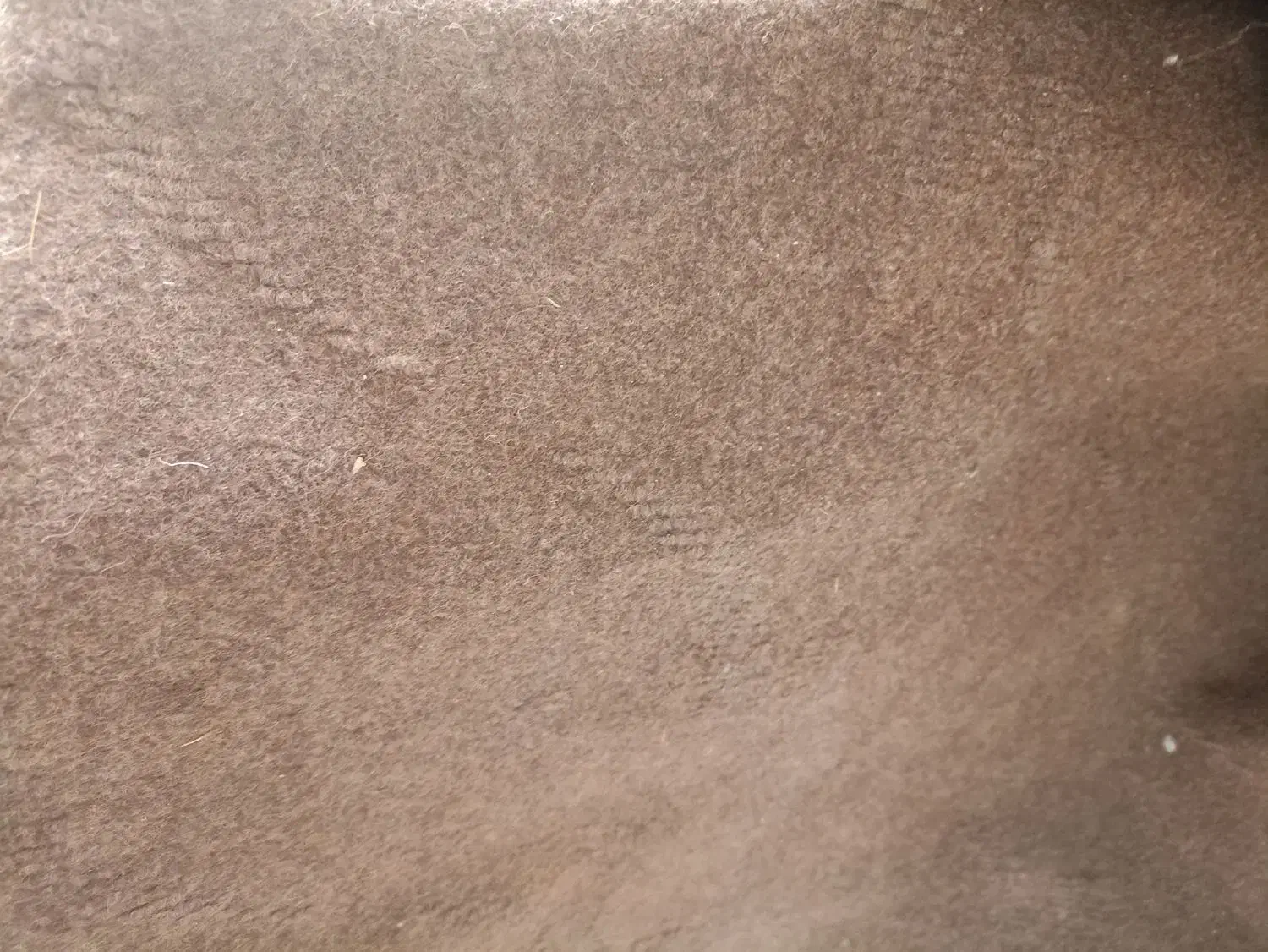 سلام موکت|موکت|همدان, |دیوار