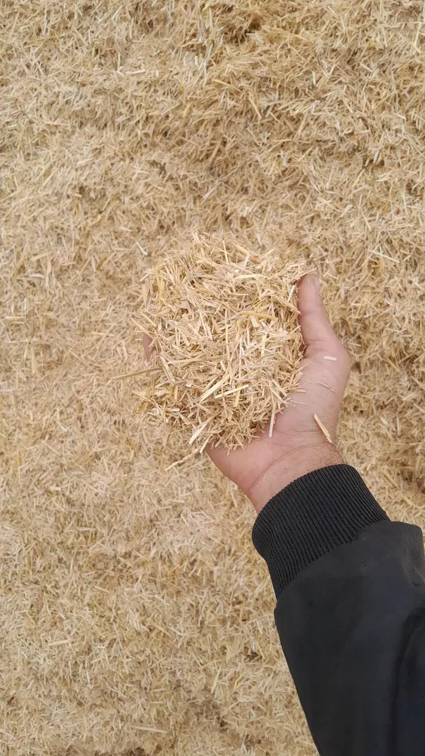 کاه گندم|حیوانات مزرعه|قشلاق دشت, |دیوار