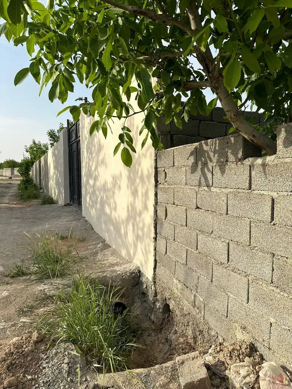 زمین 250متری به بالا باسند تکبرگ|فروش زمین و ملک کلنگی|شاهدشهر, |دیوار