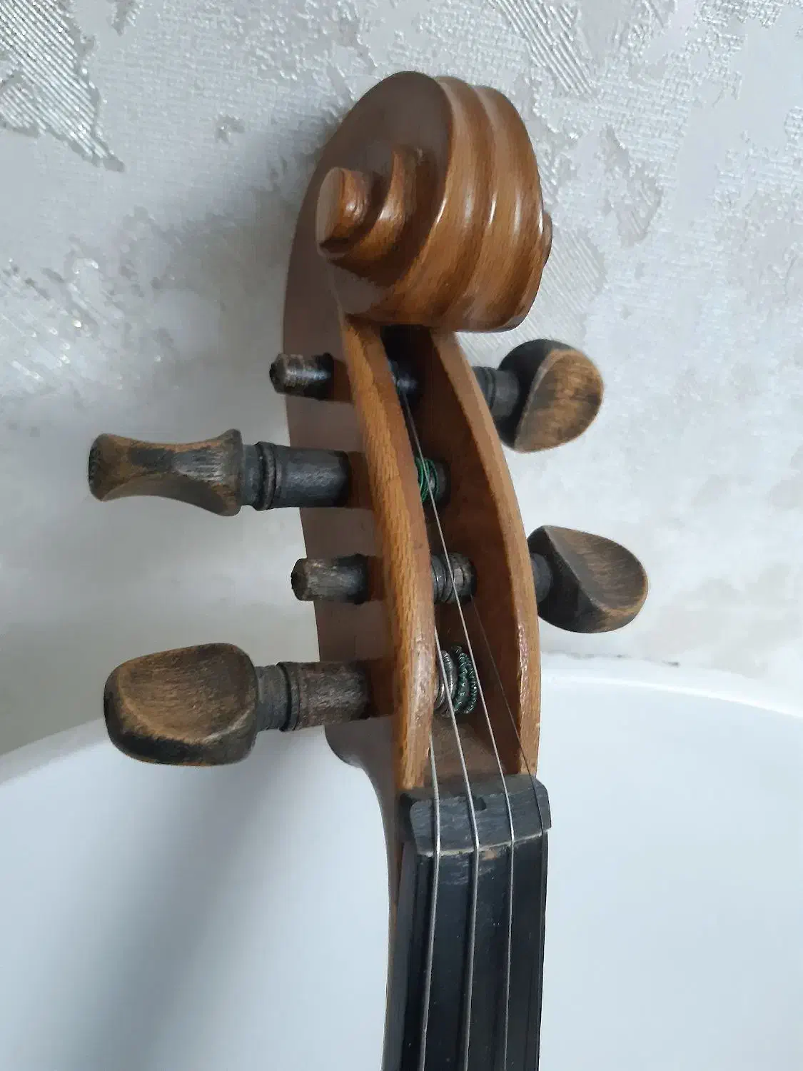 ویولن|ویولن|سنندج, |دیوار