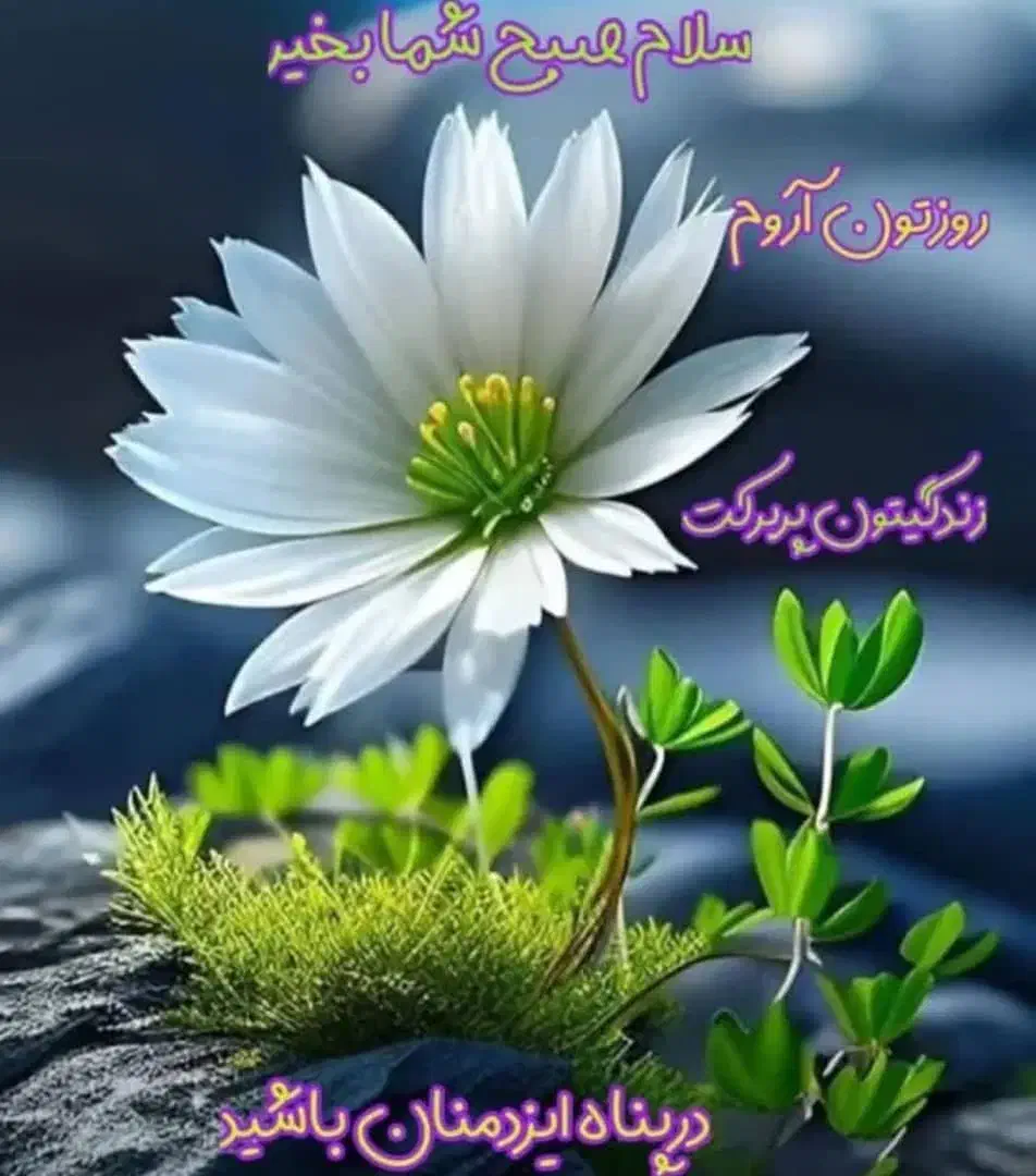 باغ در دهاقان|فروش دفتر صنعتی، کشاورزی، تجاری|دهاقان, |دیوار