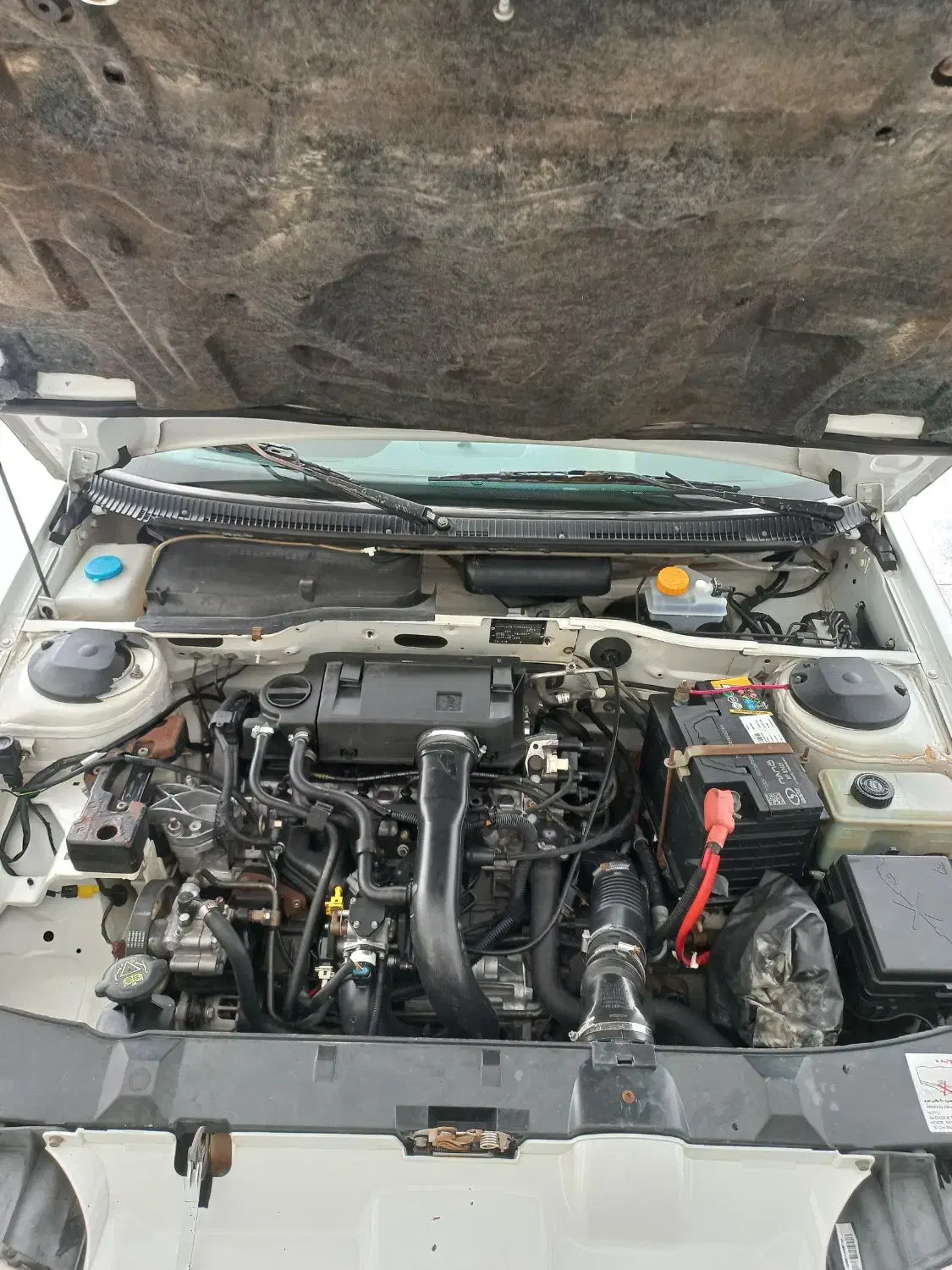 پارس سال مدل ۹۸|خودرو سواری و وانت|بندرعباس, |دیوار