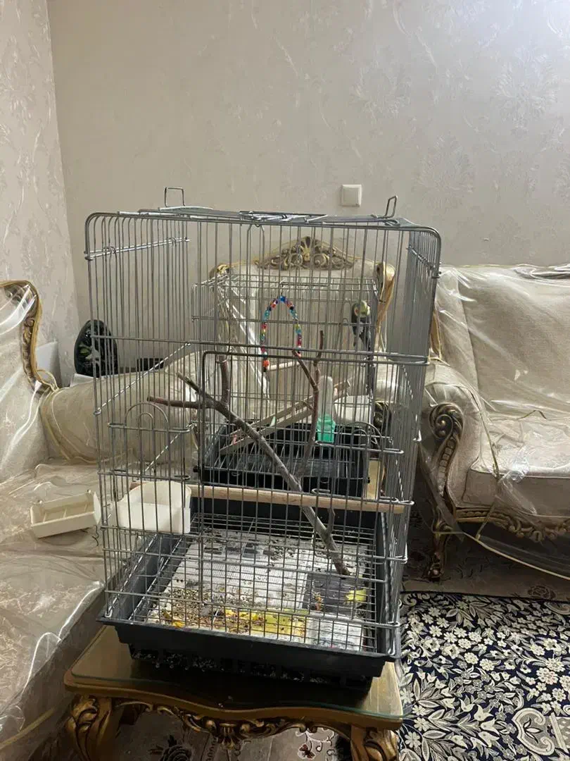 قفس بزرگ|لوازم جانبی حیوانات|تهران, اسفندیاری|دیوار