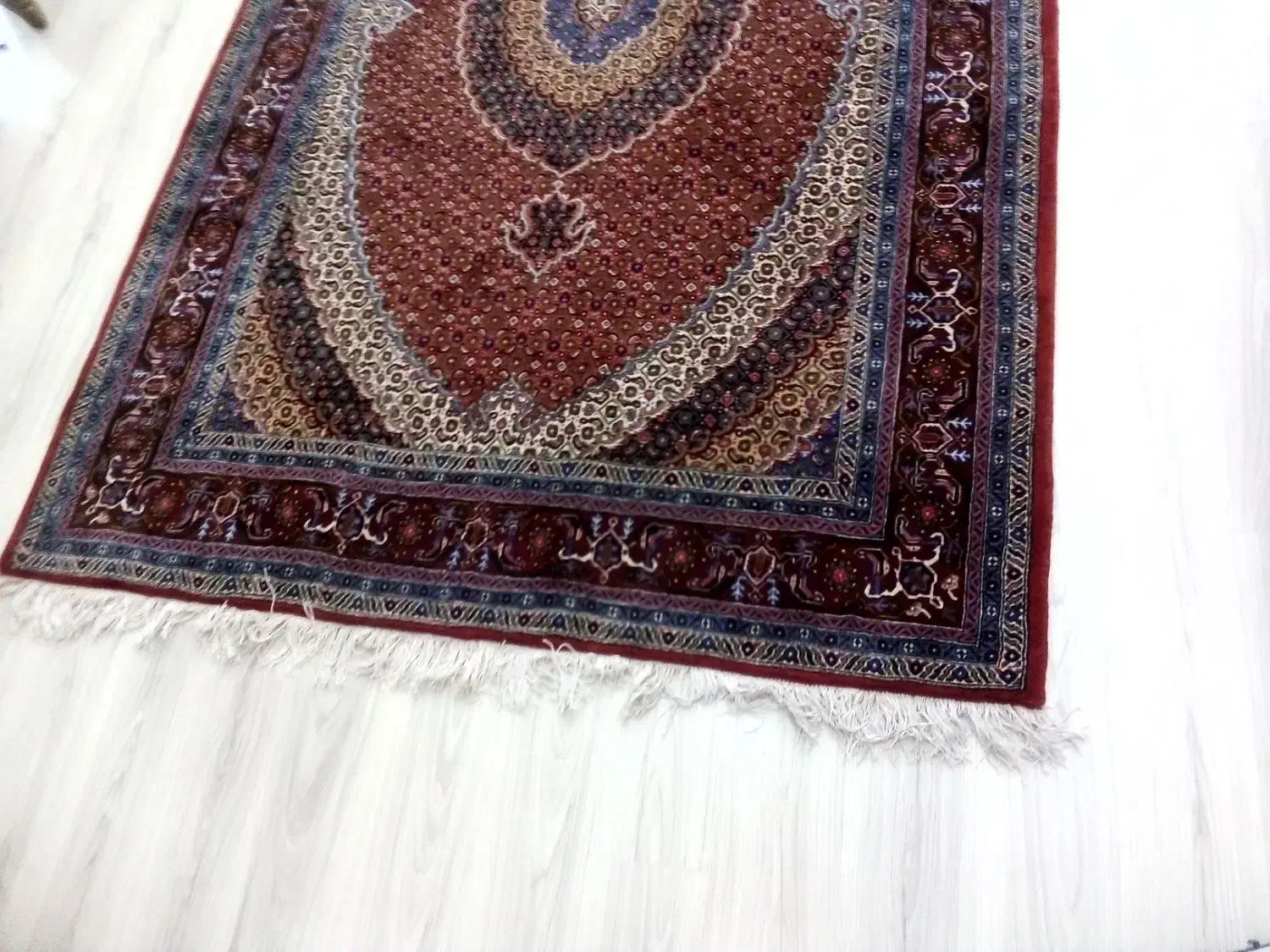 فرش دستباف 6متری|فرش|اردبیل, |دیوار