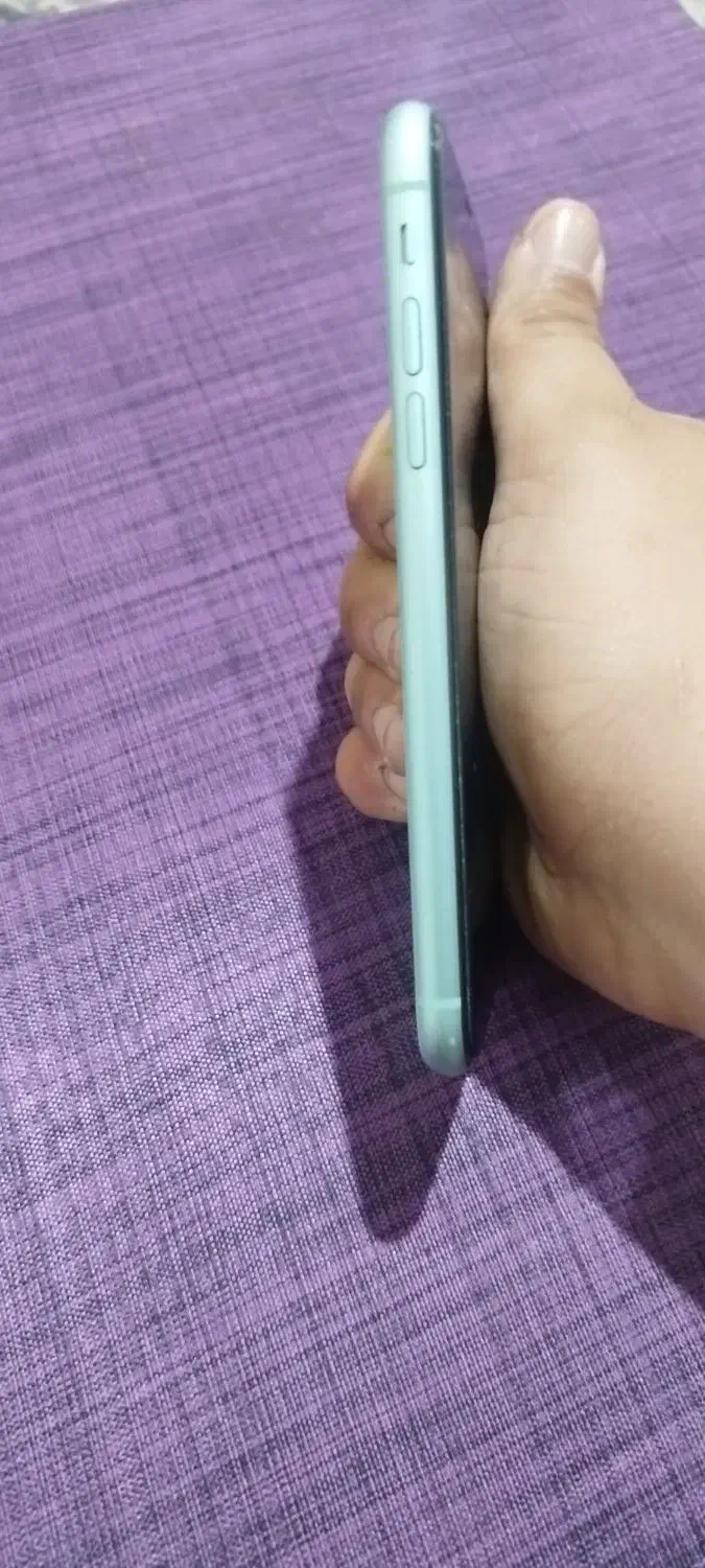 آیفون 11 نرمال|موبایل|جلین, |دیوار