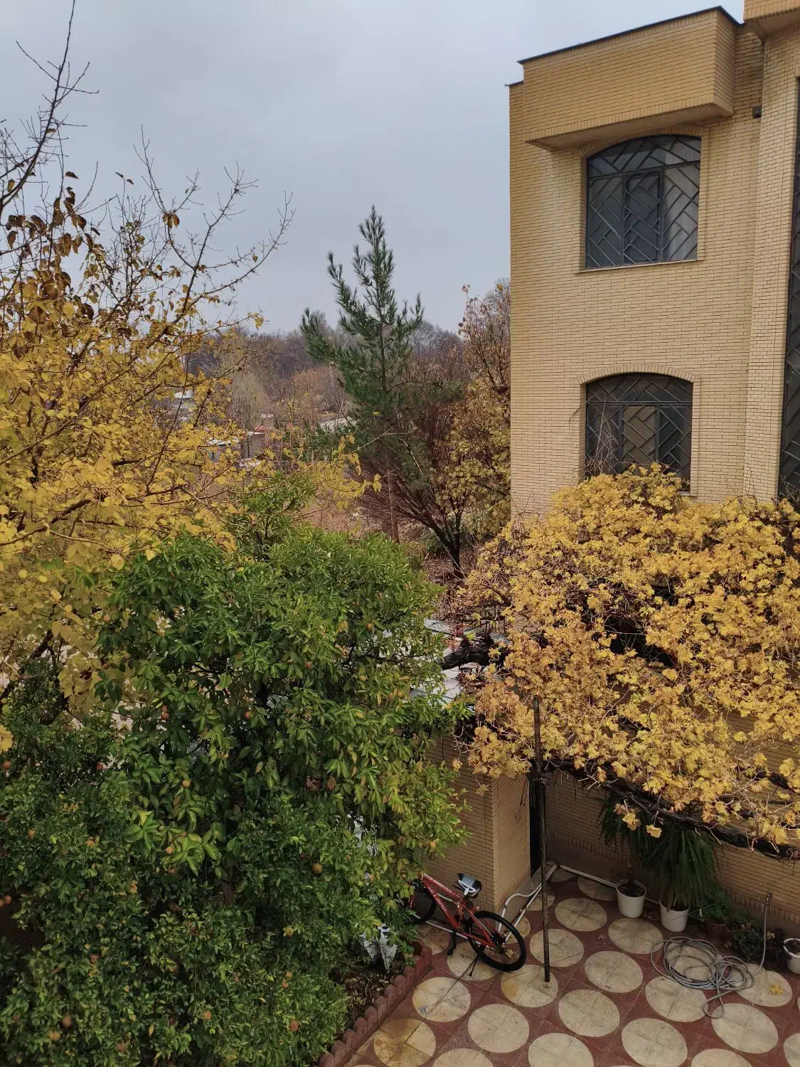 تور|تور و چارتر|لواسان, |دیوار