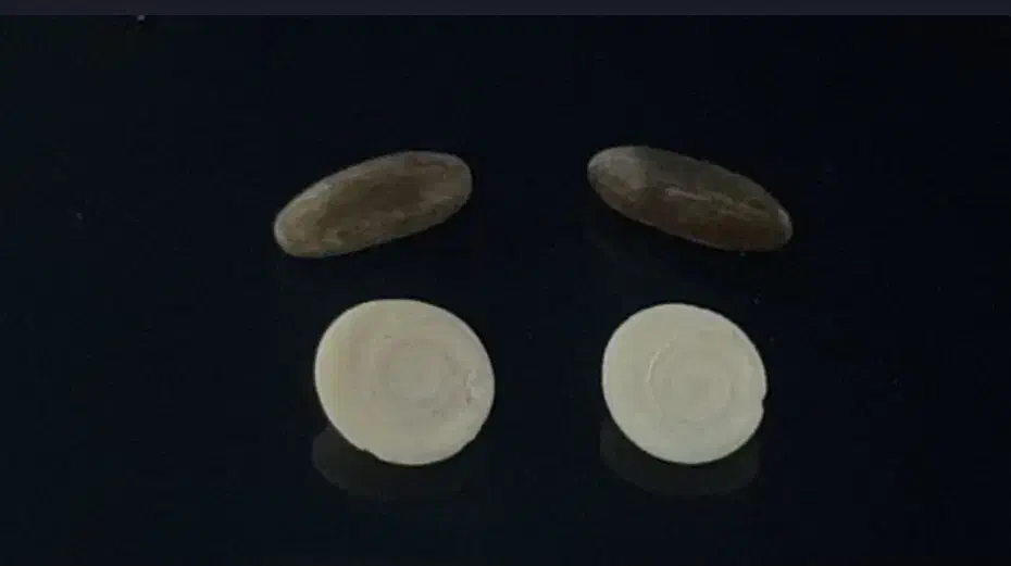 مهره|کلکسیون اشیاء عتیقه|آبادان, |دیوار