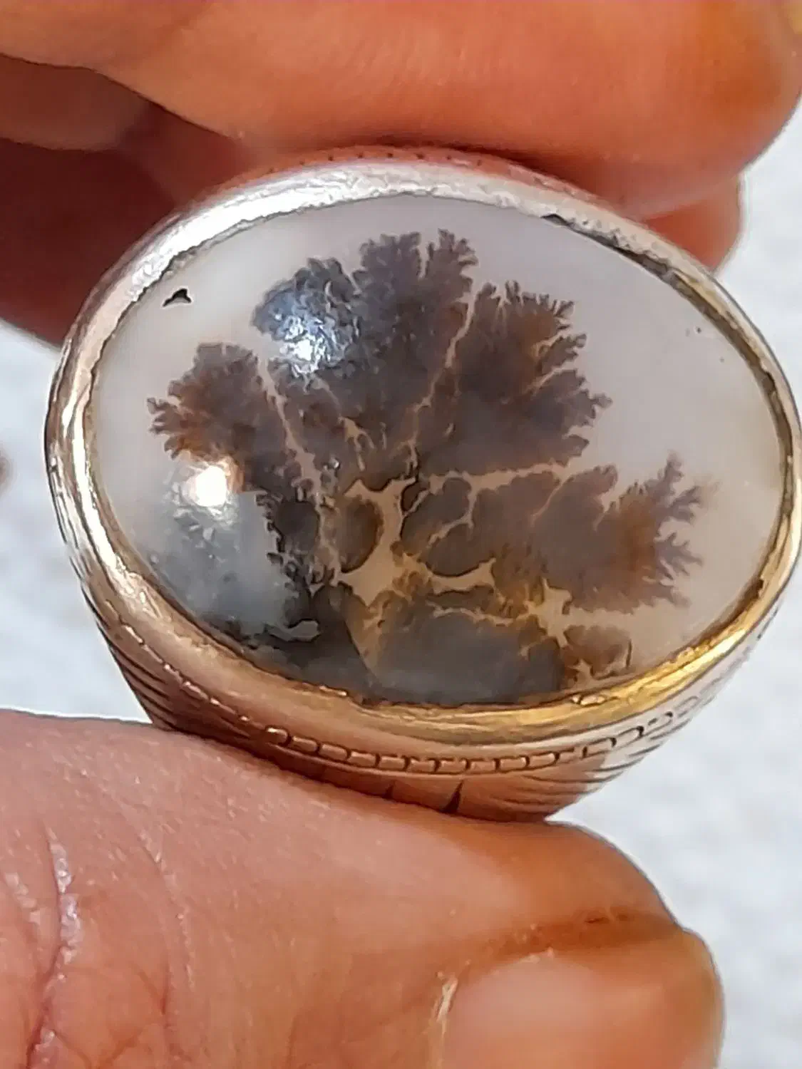 سجر تک درخت ری احمد|جواهرات|رباط‌کریم, رباط‌کریم|دیوار