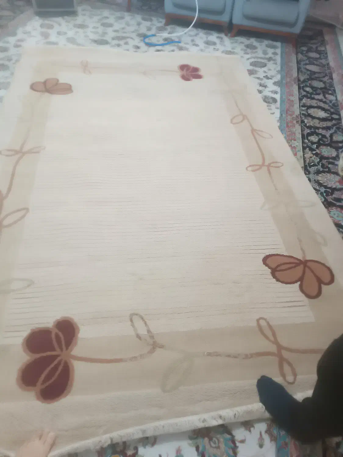 گلیم فرش|گلیم، جاجیم، گبه|تربت جام, بوستان وحدت|دیوار