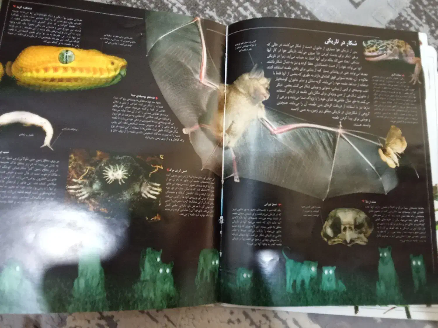 فروش ویژه شکارچیان طبیعت|کتاب و مجله آموزشی|خواف, |دیوار