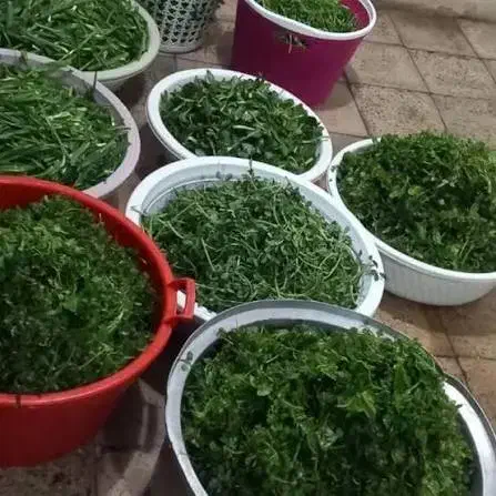 سبزی|خوردنی و آشامیدنی|ایذه, |دیوار