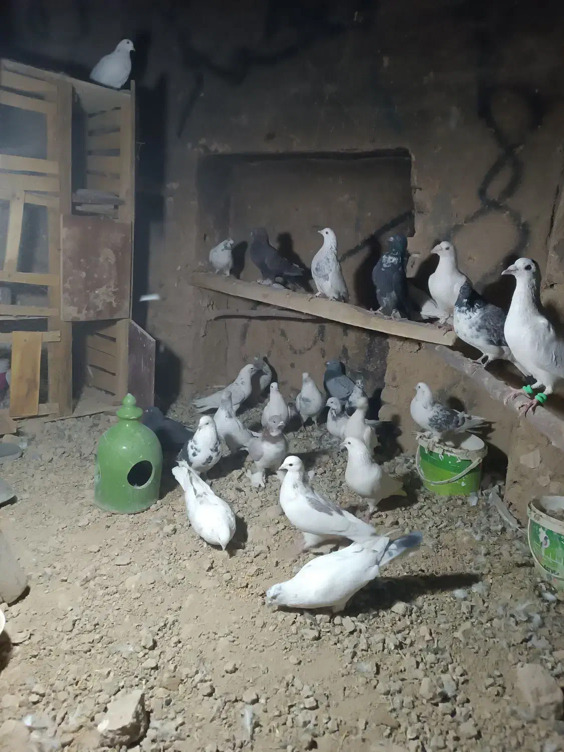 جا به جایی|پرنده|اصفهان, محله اسلامی|دیوار