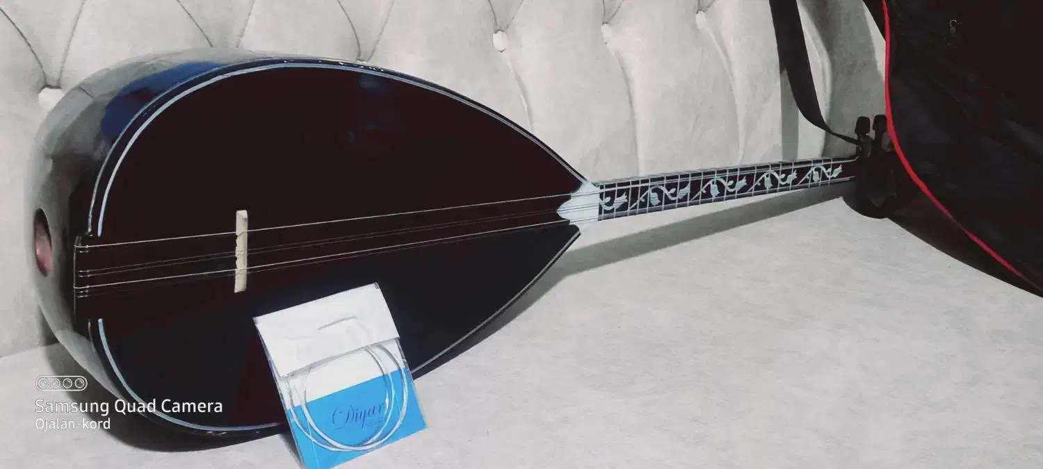 ساز خوش صدا در حد نو|سازهای سنتی|سلماس, |دیوار