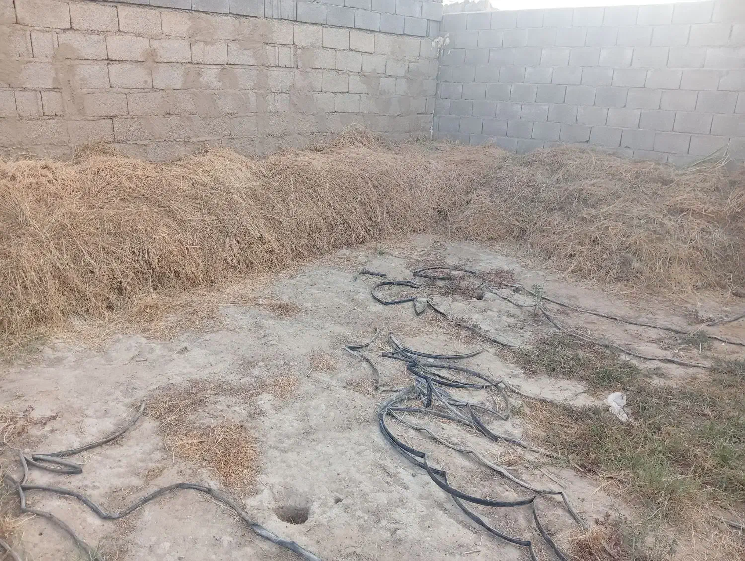 فروش یونجه|لوازم جانبی حیوانات|بوشهر, |دیوار