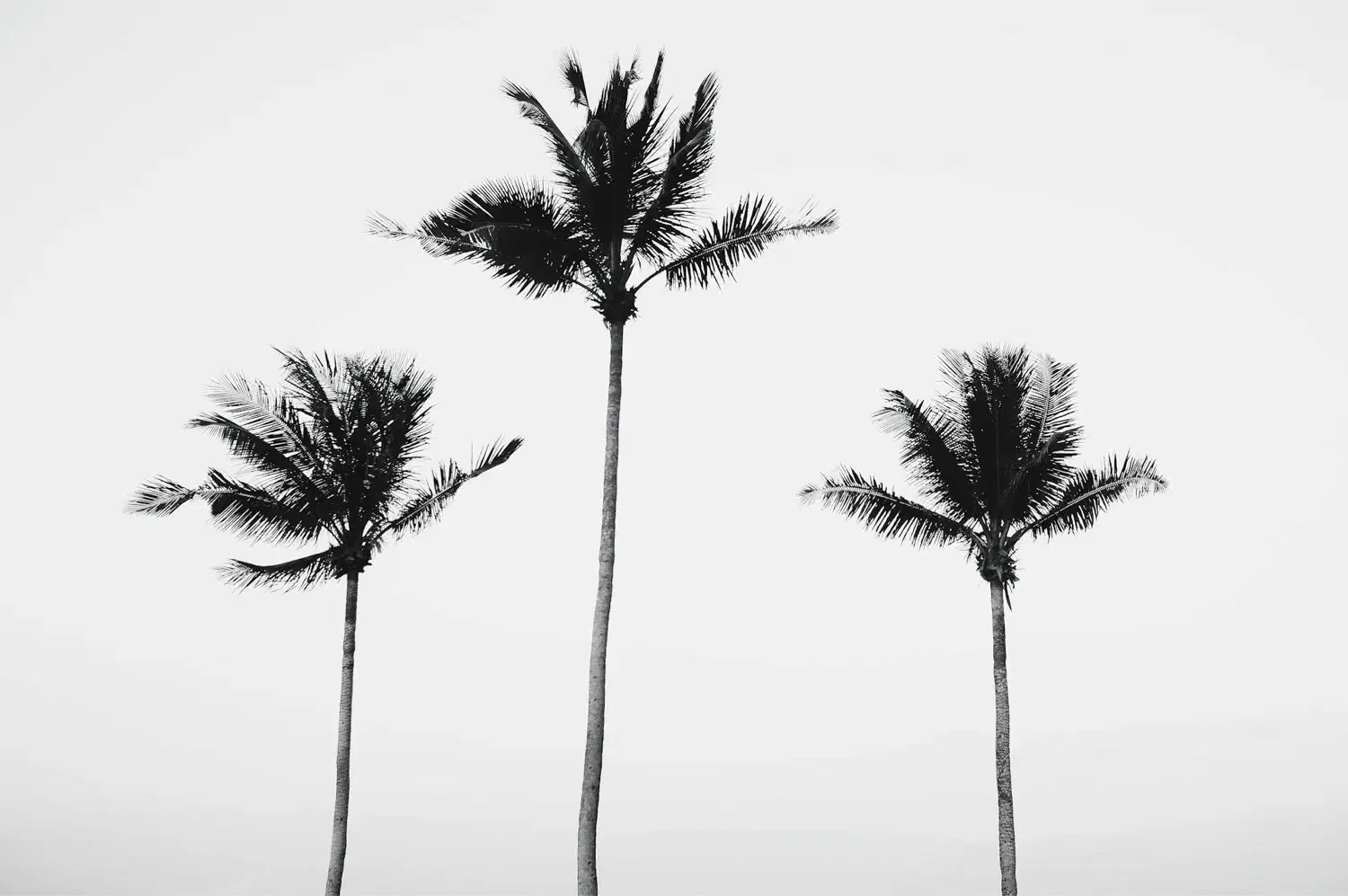 خانوم مشاور مدیر  اطلاعات بیشتر تماس|استخدام بازاریابی و فروش|رامسر, |دیوار