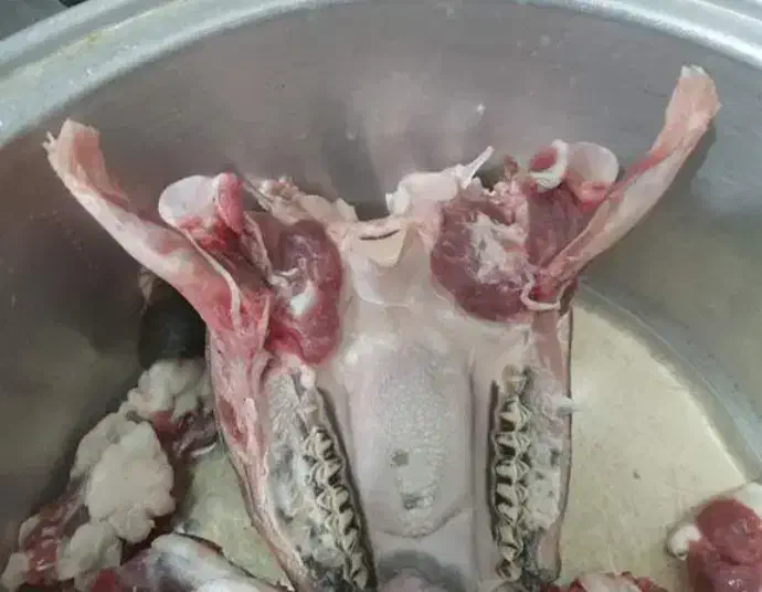 تمیز‌کردن‌کله‌‌پاچه‌گوسفند‌وپاک‌کردن‌سیلاب‌شیردون|خوردنی و آشامیدنی|مشهد, ایثارگران|دیوار