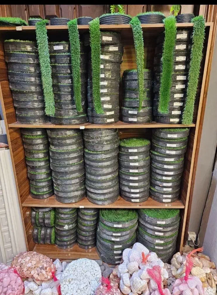 تولید چمن،،مصنوعی رولی و نواری|مصالح و تجهیزات ساختمان|تبریز, |دیوار