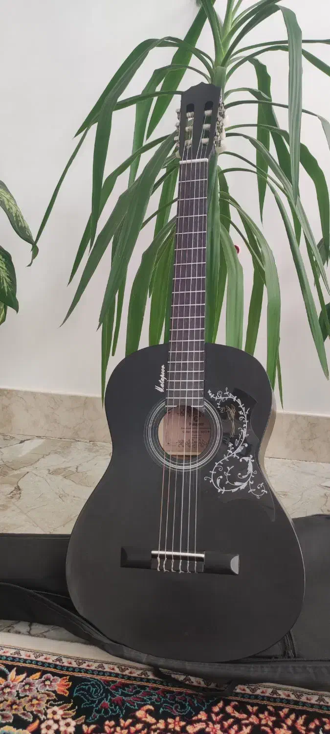 گیتار matapoor|گیتار، بیس، امپلیفایر|زبرخان, |دیوار