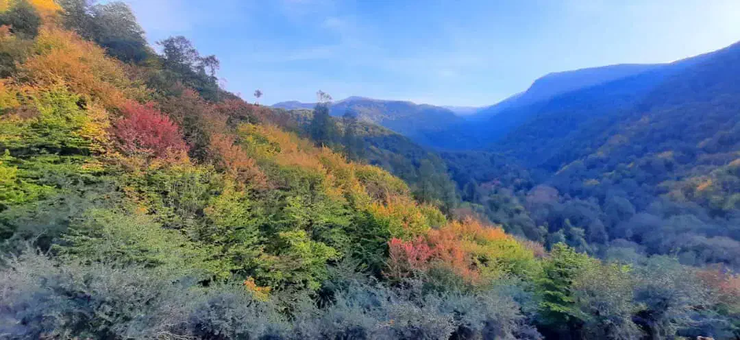 تور طبیعتگردی آلش دشت|تور و چارتر|رشت, کوی عرفان|دیوار