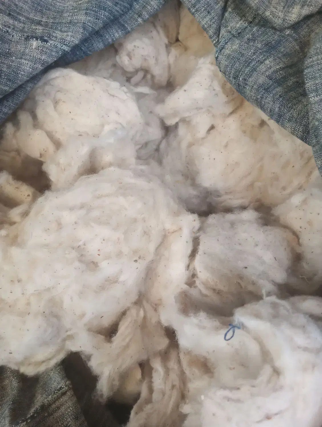 فروش پنبه طبیعی|رختخواب، بالش، پتو|بیرجند, |دیوار