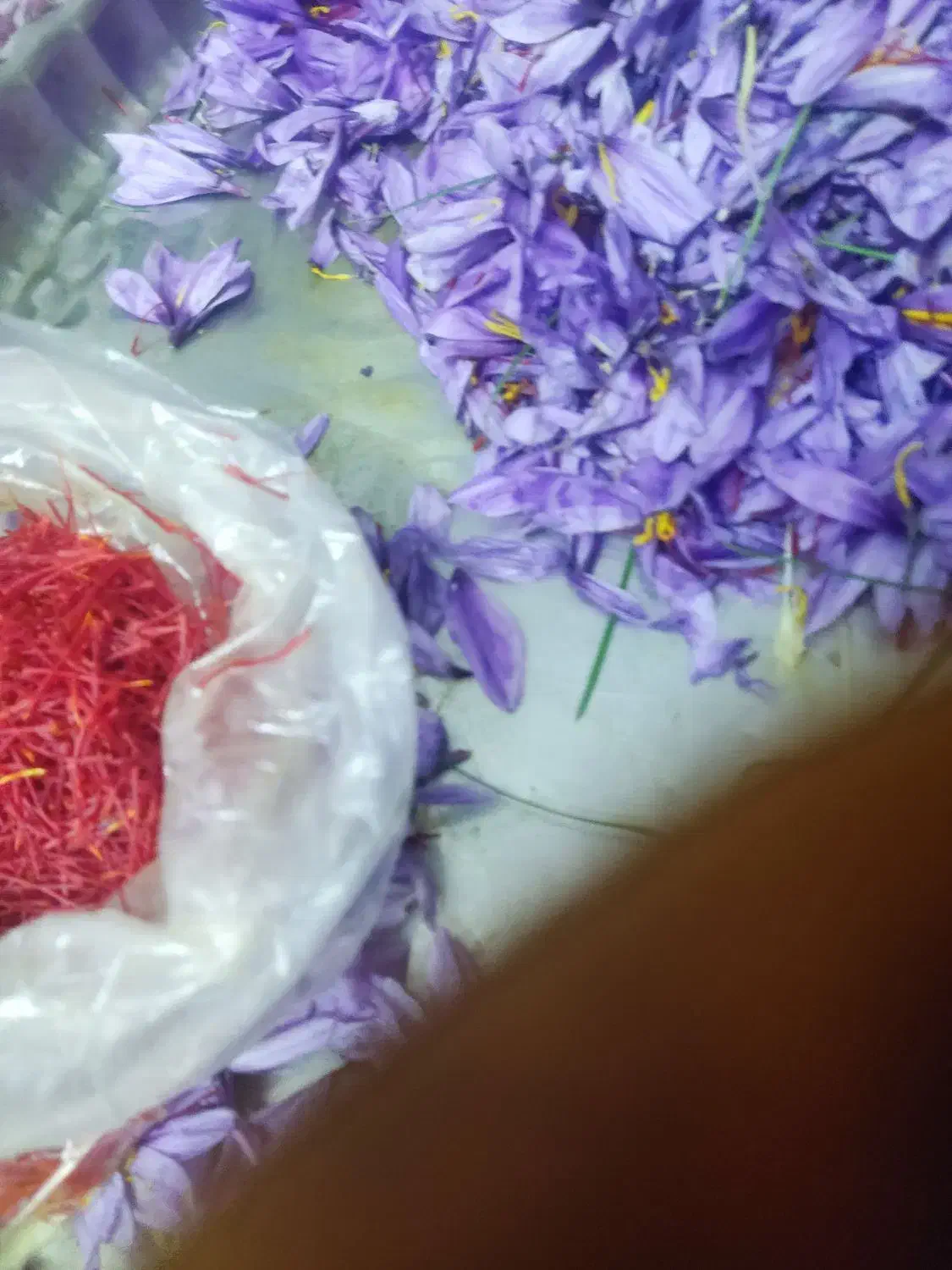 زعفران نگین|عمده‌فروشی|نیشابور, شهید بهشتی|دیوار