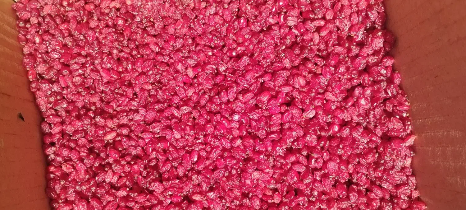 زرشک پفکی امسالی|عمدهفروشی|مشهد, ابوذر|دیوار