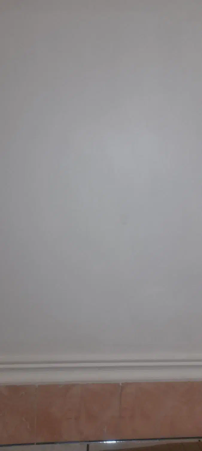 ملک  تجاری مسکونی امام بخش ۱۶سر خیابان اصلی|فروش زمین و ملک کلنگی|خاش, |دیوار