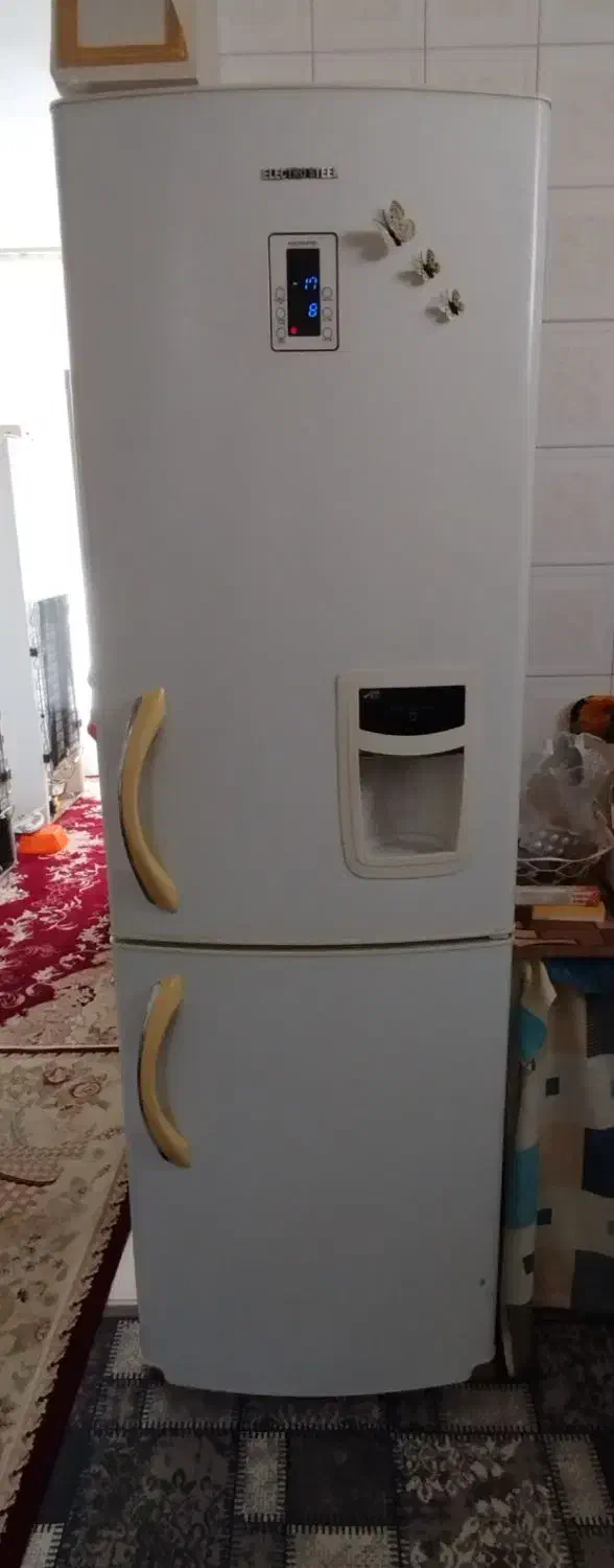 یخچال و فریزر الکترو استیل|یخچال و فریزر|فلاورجان, |دیوار