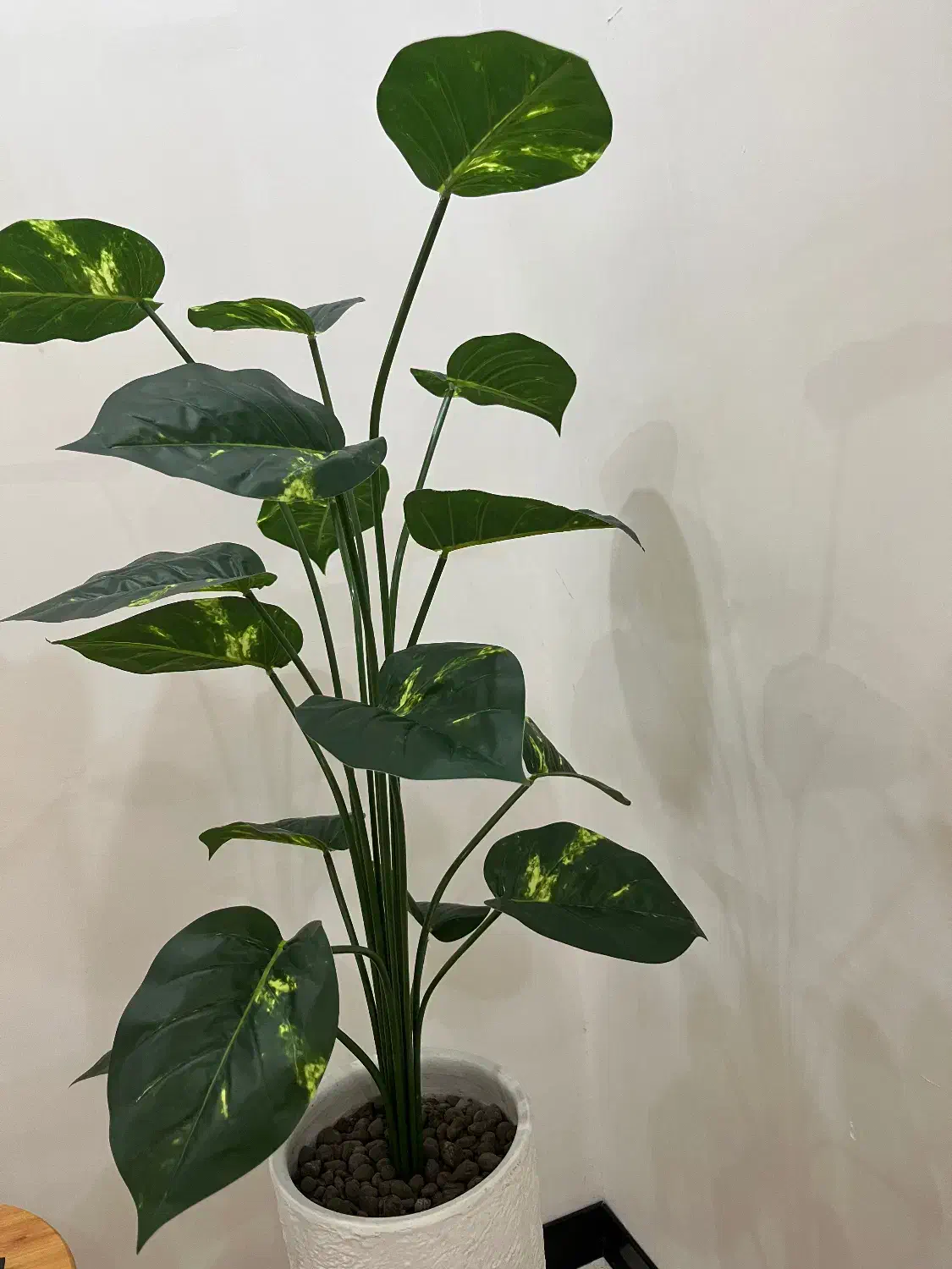 گل وگلدان شیک|گل مصنوعی|رشت, یخسازی|دیوار