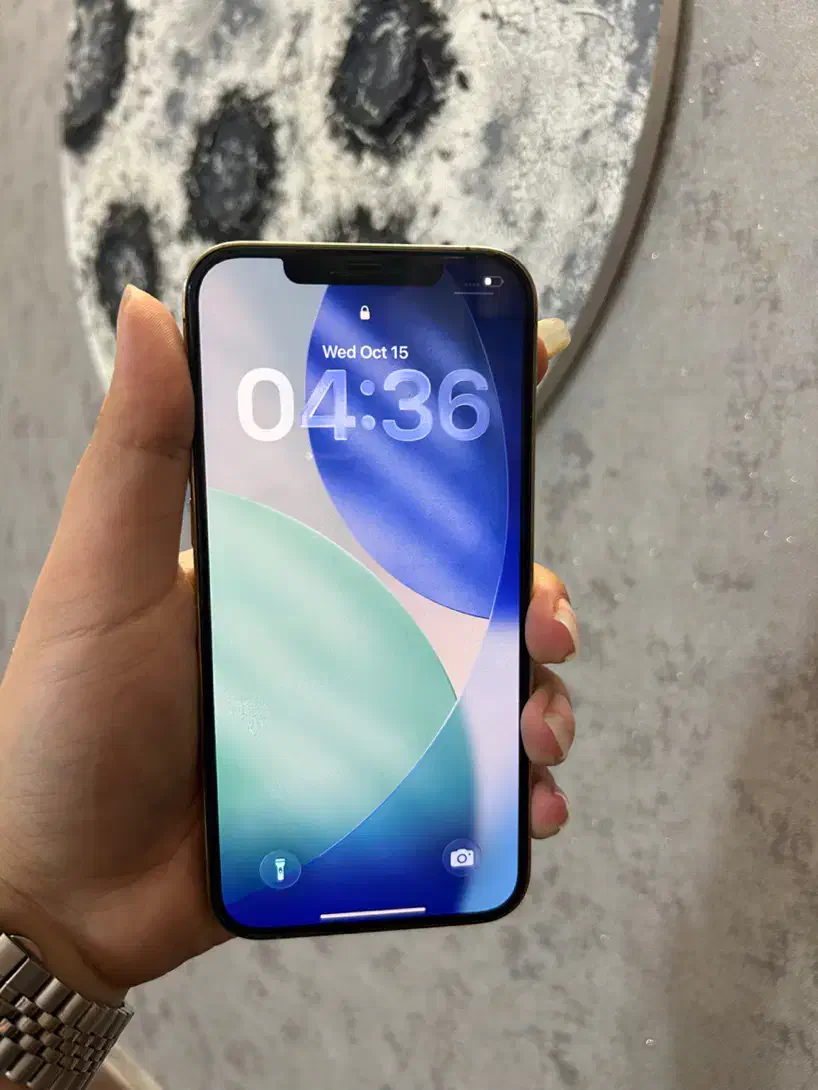 آیفون 12 pro max با حافظه ۲۵۶ گیگ|موبایل|رشت, باهنر|دیوار
